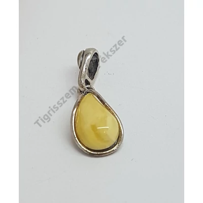 Ezüst medál BOROSTYÁNNAL